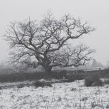 Countryside greetings cards