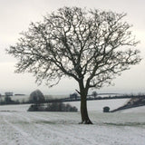 Countryside greetings cards