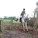 Horse and rider jumping a gate