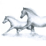 Two horses cantering - drawing