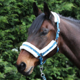 Horse padded headcollar with dog print and lead rope