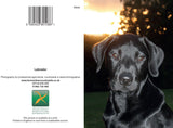 Dog greetings cards