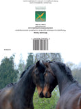 Horse greetings cards