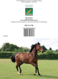 Horse greetings cards