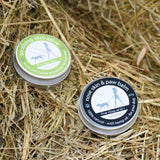 Soothing skin salve for dogs (use on horses too) 60g